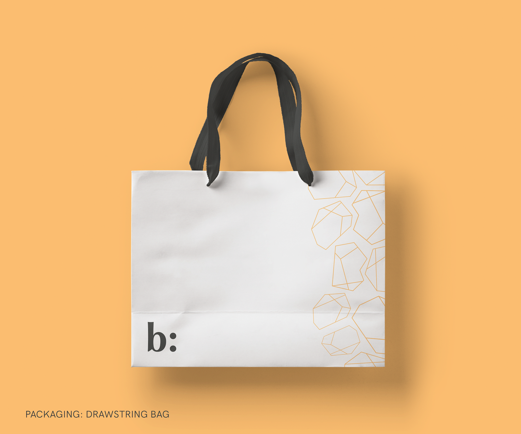 shopping bag_1
